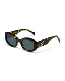 Lunettes de soleil Apollo AP3040-C2 — vue de face, verres polarisés UV400