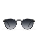 Lunettes de soleil Apollo AP3118-C2 — vue de face, verres polarisés UV400