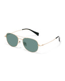 Lunettes de soleil Apollo AP3147-C1 — vue de trois quarts