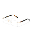 Lunettes percées Apollo AP50012M-C2 — vue de trois quarts